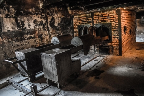 Cracovie: excursion d'une journée à Auschwitz-Birkenau et à la mine de sel de Wieliczka