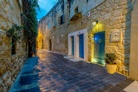 Mdina: Valletta Waterfront Area, Mdina, and Rabat Night TourWith English Speaking Guide