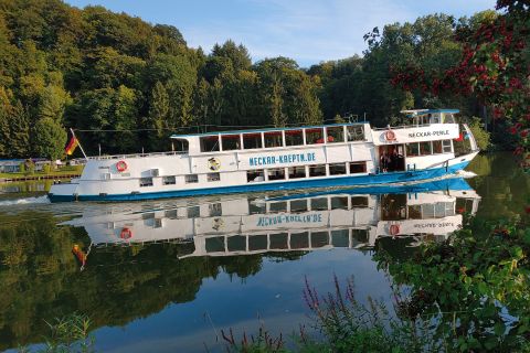 Heilbronn: Neckar River Cruise to or from Bad Wimpfen