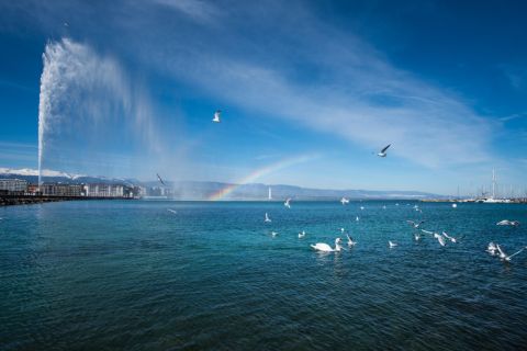 Genève : croisière panoramique sur le lac, collations, vin