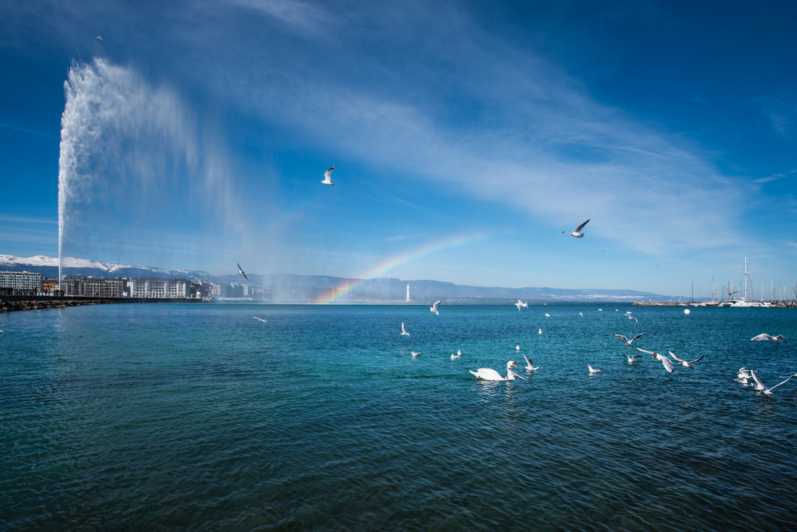 Genève : Croisière panoramique sur le lac avec collations et vin