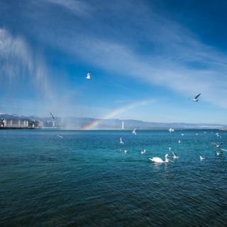 Женева: живописный круиз по озеру с закусками и вином