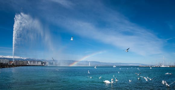 Genf: Malerische Seerundfahrt mit Snacks und Wein