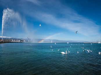 Genf: Rundfahrt auf dem See mit Snacks und Wein