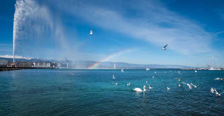 Genève: schilderachtige rondvaart over het meer met snacks en wijn