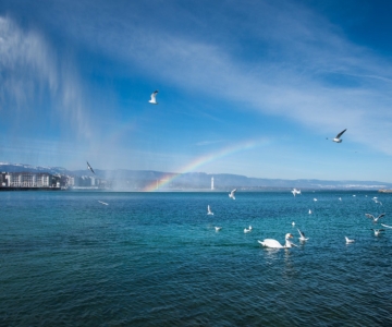 Geneva: Scenic Lake Cruise with Snacks and Wine