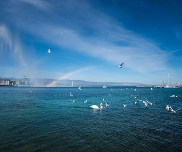 Geneva: Scenic Lake Cruise with Snacks and Wine