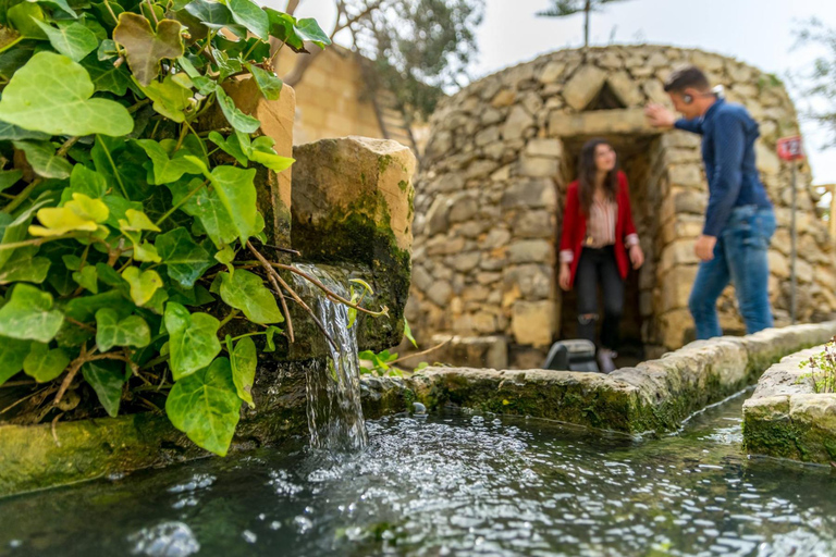 Desde La Valeta: viaje a la gruta azul de Hagar Qim y Wied Iz-Zurrieq