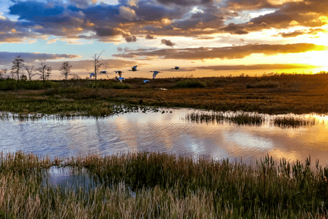 Everglades : forfait hydroglisseur Sawgrass ParkForfait standard