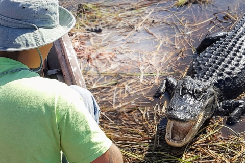 Everglades : forfait hydroglisseur Sawgrass ParkForfait standard