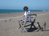 Von Puerto Madryn, Penguin Tour & Península Valdés Tagesausflug - Hizvo