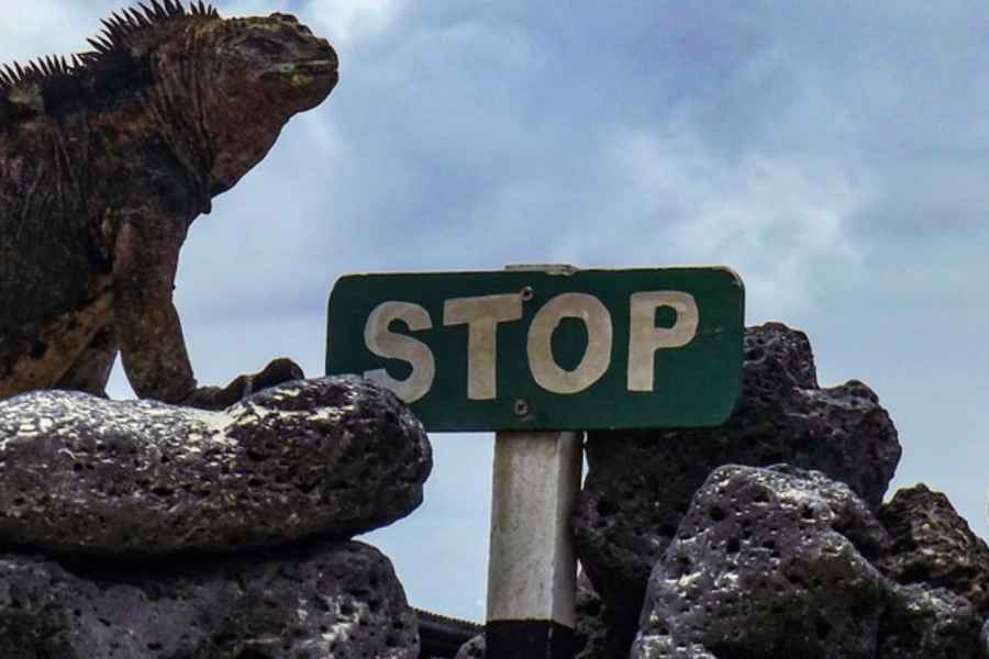 Die Insel Floreana: Ganztagestour auf Galapagos