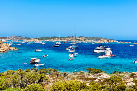 Maddalena Archipelago: Island-Hopping Sailing Tour and Lunch 14 m Standard Yacht departure from Palau