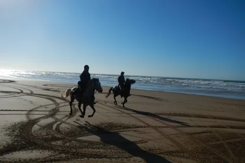 Fra Essaouira: Scenisk Diabat-hestetur med overføring