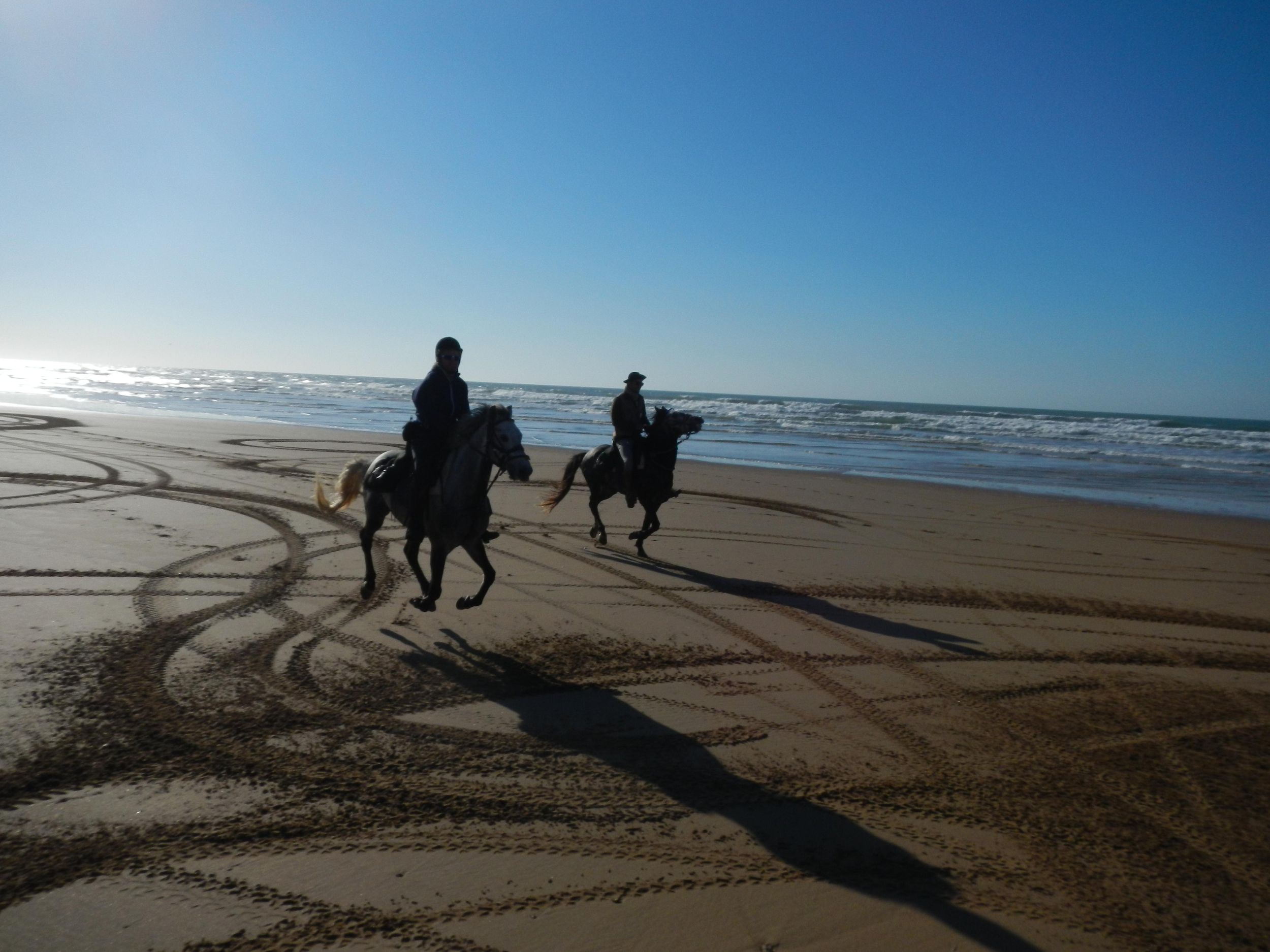 Von Essaouira aus: Reiten in Diabat mit Transfer