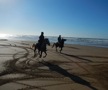 De Essaouira: passeio panorâmico a cavalo em Diabat com traslado