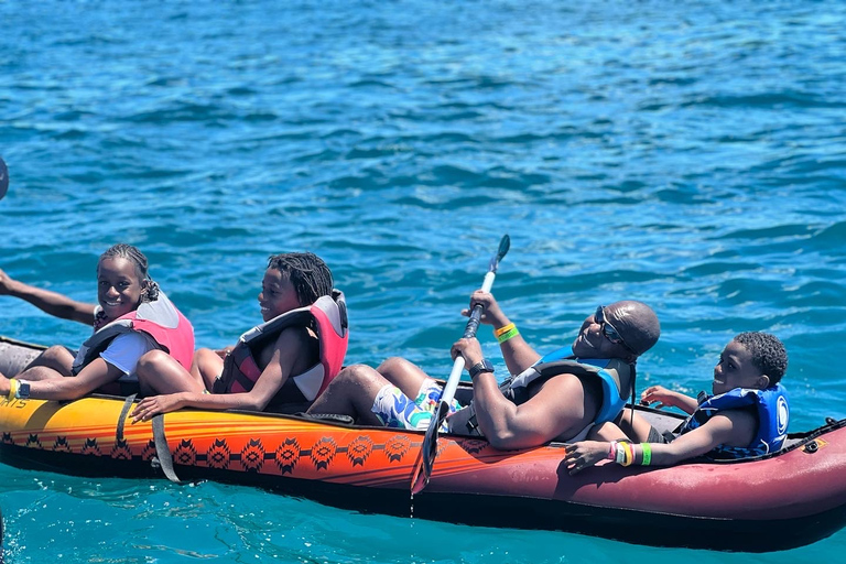 Waikiki: 5-in-1 schildpad snorkeltrip met transferWaikiki: 5-in-1 schildpad-snorkeltrip met transfer