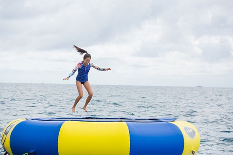 Waikiki : Excursion de plongée avec masque et tuba pour les tortues 5 en 1 avec transfert