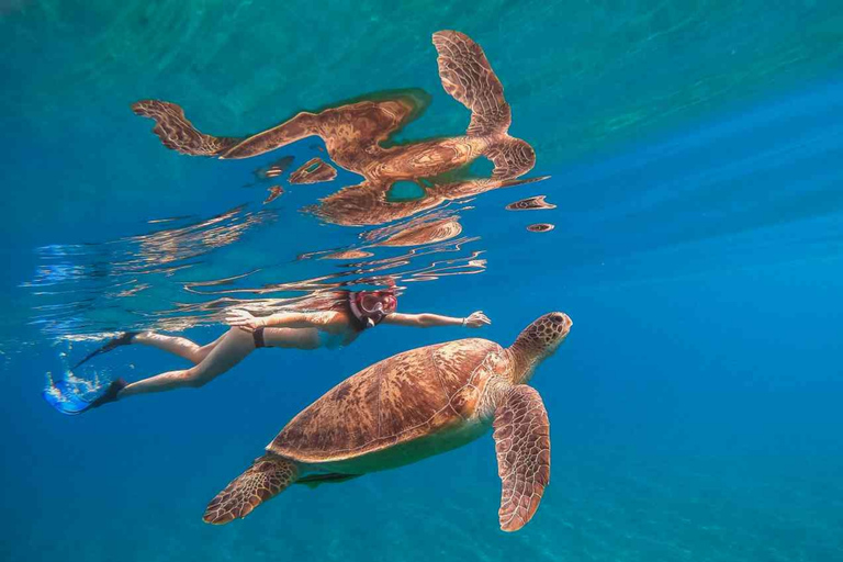 Waikiki: 5-in-1 schildpad snorkeltrip met transferWaikiki: 5-in-1 schildpad-snorkeltrip met transfer