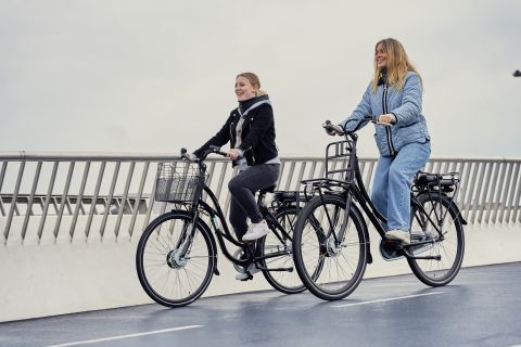 Copenhague: tour guiado en bicicleta eléctrica por el palacio, la fuente y la iglesia