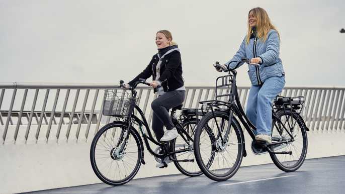 Copenhague: tour guiado en bicicleta eléctrica por el palacio, la fuente y la iglesia