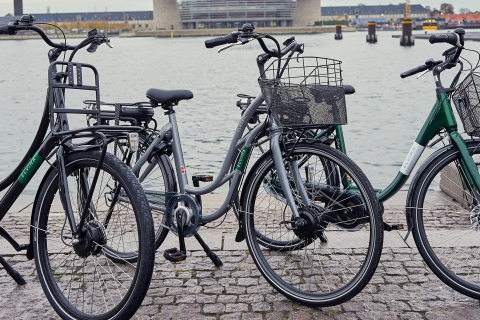 Kopenhagen: begeleide e-bike-tour van 2 uurKopenhagen: E-Bike Tour met gids door het paleis, de fontein en de kerk
