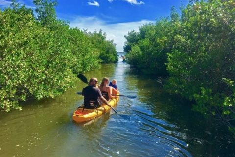 Merritt Island: Guided Kayak or SUP Tour Along Banana River