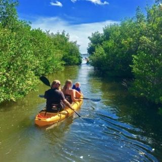 Merritt Island: Guided Kayak or SUP Tour Along Banana River