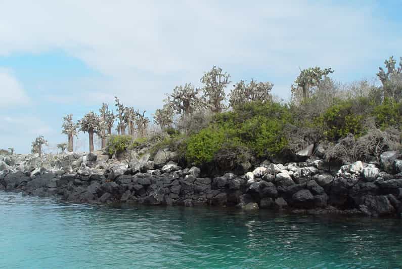 Santa Fe Island and Hidden Beach-Snorkeling
