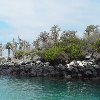 Santa Fe Island Full Day Tour with Snorkeling