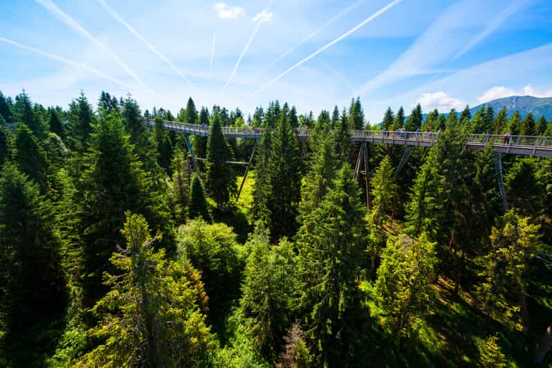 From Krakow Slovakia Treetop Walk Bachledka Private Tour GetYourGuide