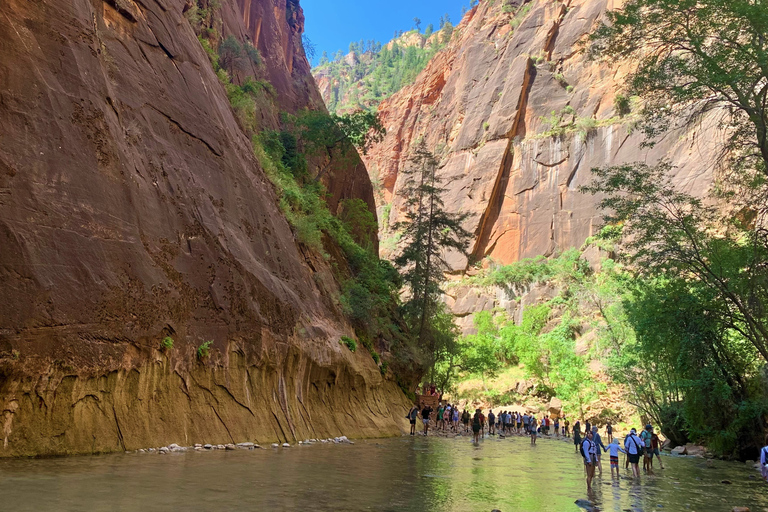 Desde Las Vegas: recorrido en autobús por el Parque Nacional Zion con tiempo libre