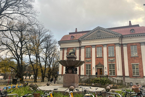 Turku privado en coche desde Helsinki: Catedral y Castillo