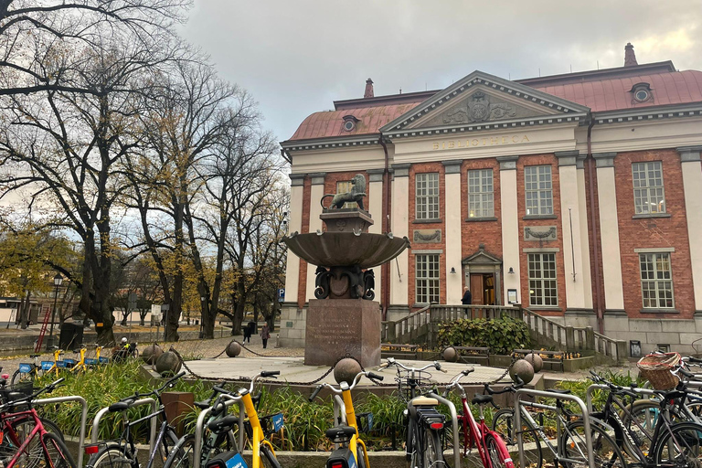 Visita privata di Turku in auto da Helsinki: Cattedrale e Castello