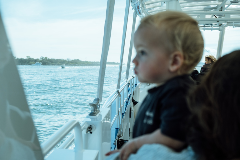 Main Beach: Whale Watching Cruise on the Gold Coast