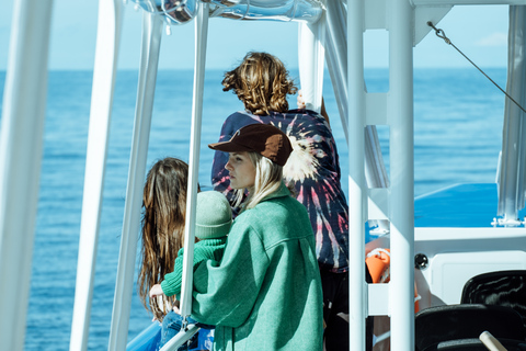 Plage principale : Croisière d&#039;observation des baleines sur la Gold Coast