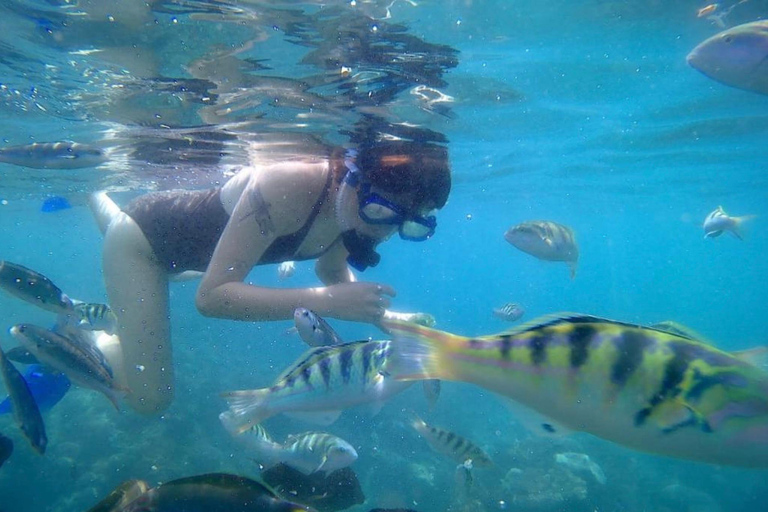 Bali: Lagoa Azul e mergulho com snorkel em Tanjung Jepun com traslados