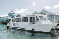 Mooloolaba, Seafood Lunch Cruise - Housity