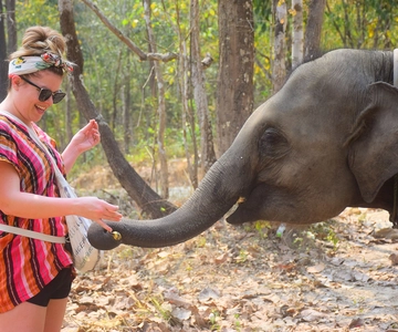 Chiang Mai: Experiência de alimentação de elefantes