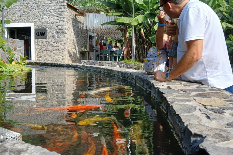 Ponta Do Sol : Madeira Bananenmuseum rondleiding