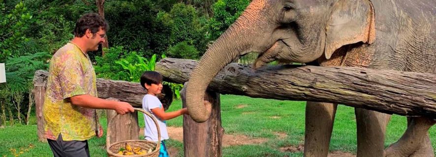 Krabi: Khao Sok Elephant Sanctuary, Rafting Tour, and Lunch