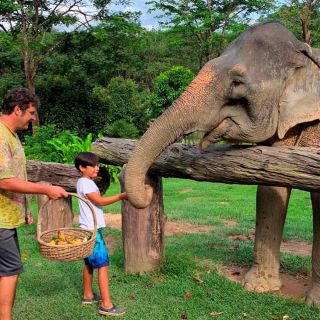 Krabi: Khao Sok Elephant Sanctuary, Rafting Tour, and Lunch