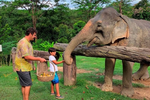 Krabi: sanctuaire des éléphants de Khao Sok, excursion en rafting et déjeunerVisite de groupe