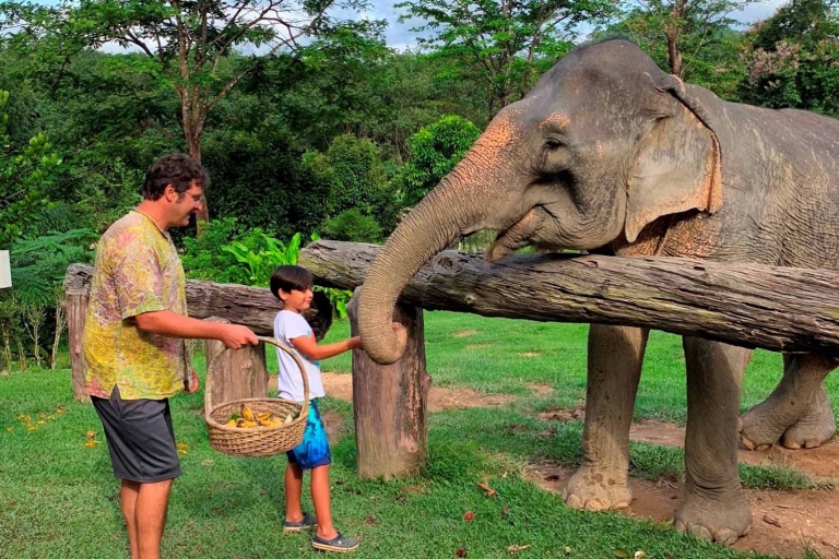 Krabi: Khao Sok Elephant Sanctuary, Rafting Tour, and Lunch Private Tour