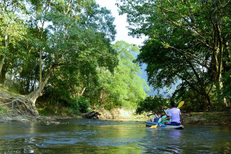 Krabi: santuario de elefantes Khao Sok, tour de rafting y almuerzoTour en grupo