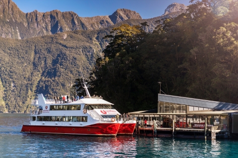 From Queenstown: Milford Sound, Observatory & Cruise w Lunch