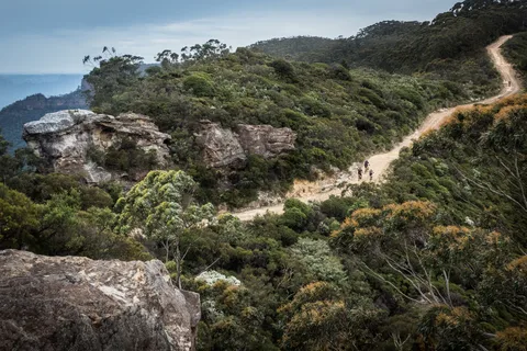 Blue Mountains: Mountain e-Bike Ride, Narrowneck Plateau