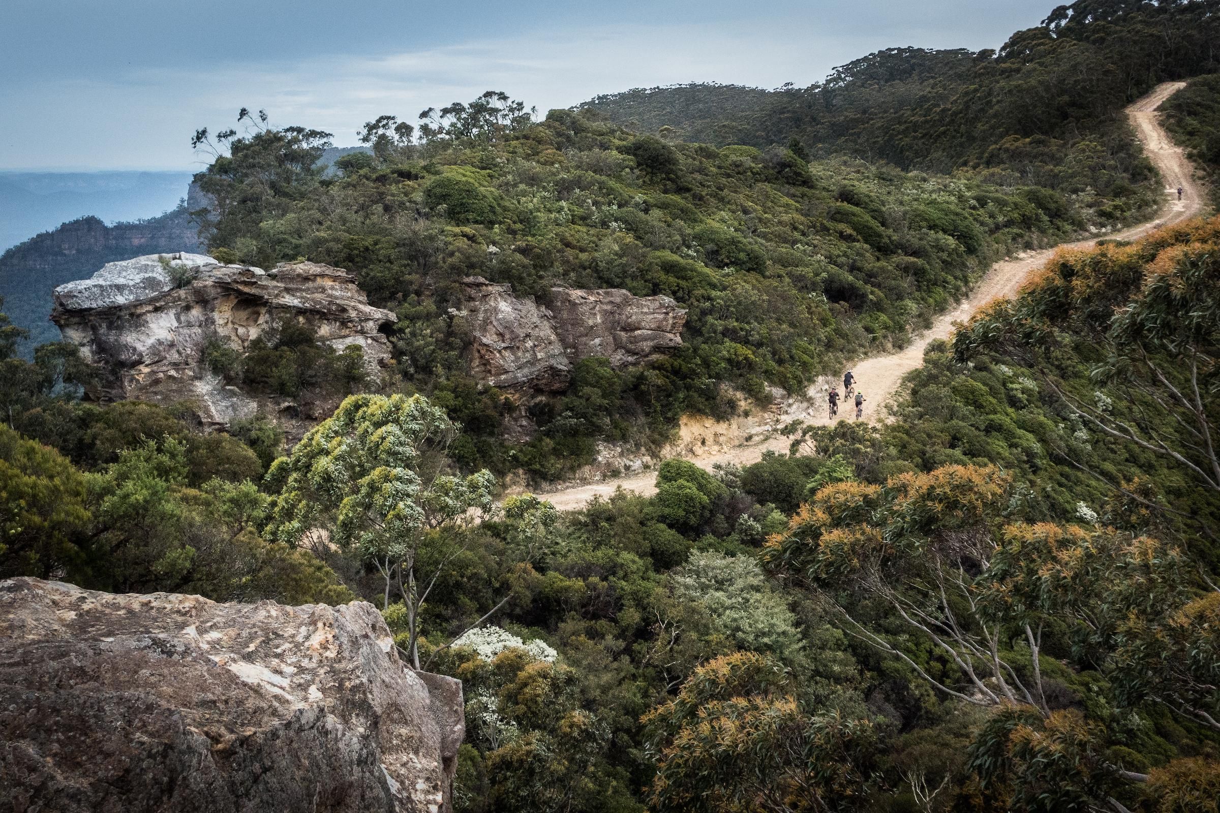 Blue Mountains: Mountainbiketour, Narrowneck Plateau