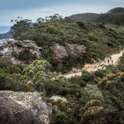 Blue Mountains: Mountain e-Bike Ride, Narrowneck Plateau