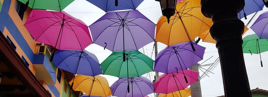 Medellin : Guatape, visite privée de la ferme de café El Peñol et fruits